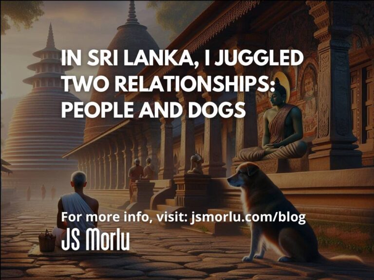 In Sri Lanka, I Juggled Two Relationships: People and Dogs