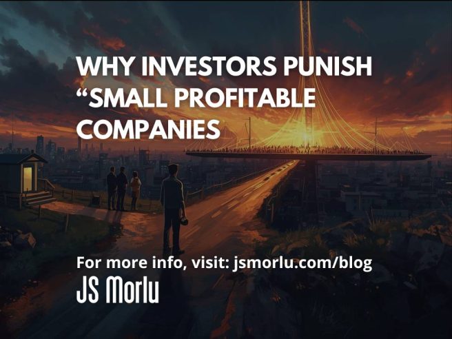 Why Investors Punish “Small Profitable Companies