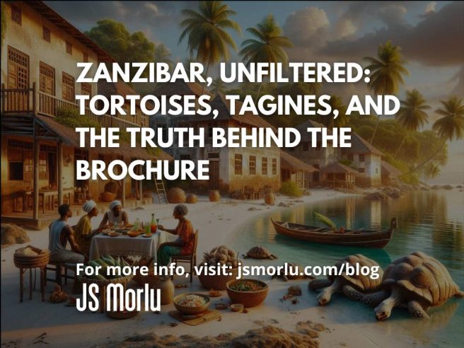 Zanzibar, Unfiltered: Tortoises, Tagines, and the Truth Behind the Brochure
